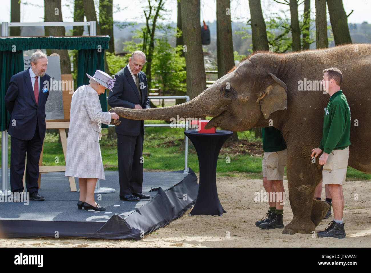 The Queen Helps Feed Elephants at Whipsnade Zoo The Queen Helps Feed Elephants at Whipsnade Zoo new picture The Queen Helps Feed Elephants at Whipsnade Zoo The Queen Helps Feed Elephants at Whipsnade Zoo new picture