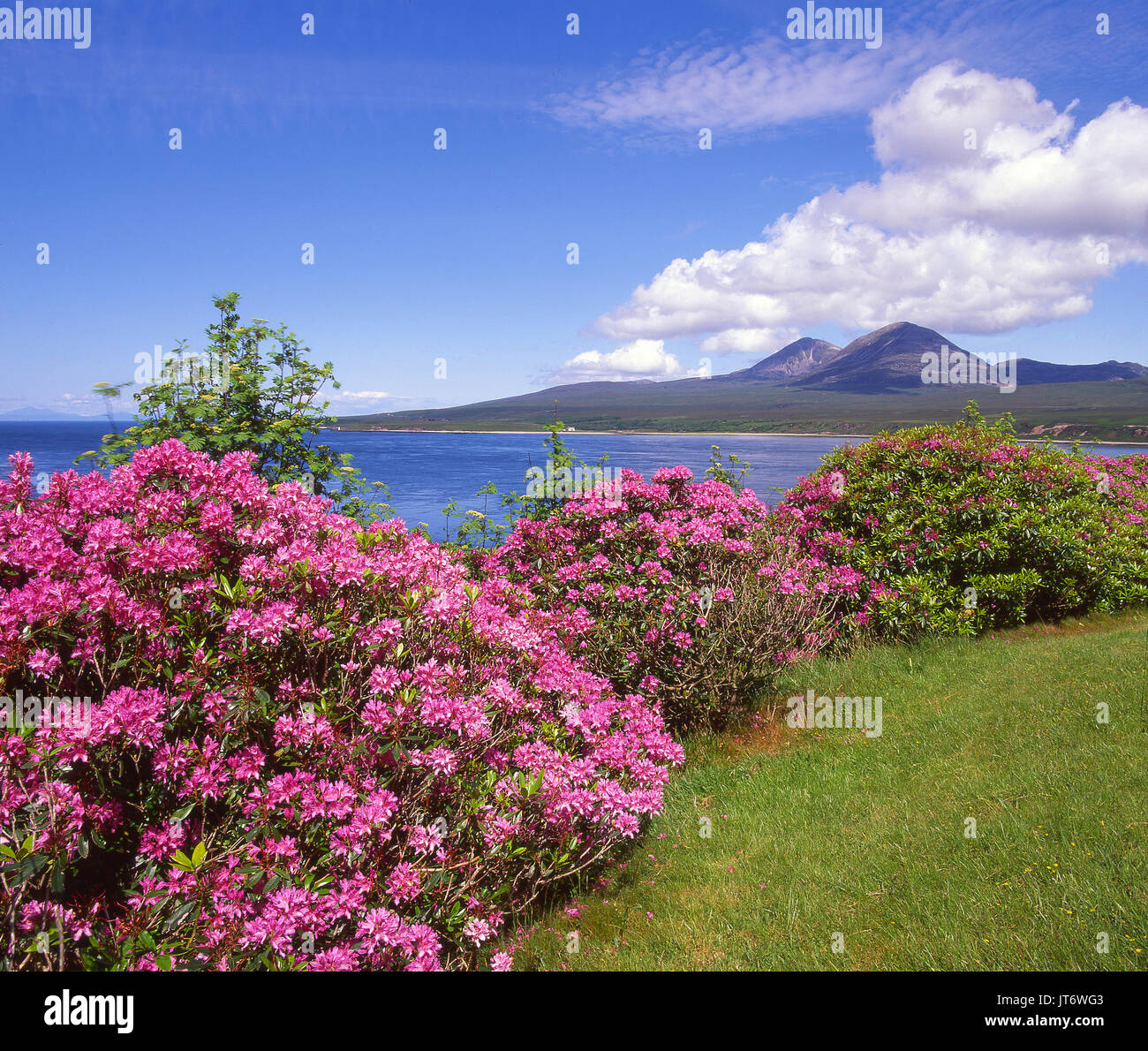 A beautiful summer view towards the Paps of Jura from across the Sound of  Islay at Caol Ila on Islay, Argyll Stock Photo - Alamy