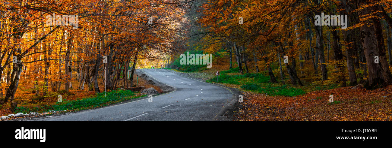 Autumn scene with road in forest Stock Photo