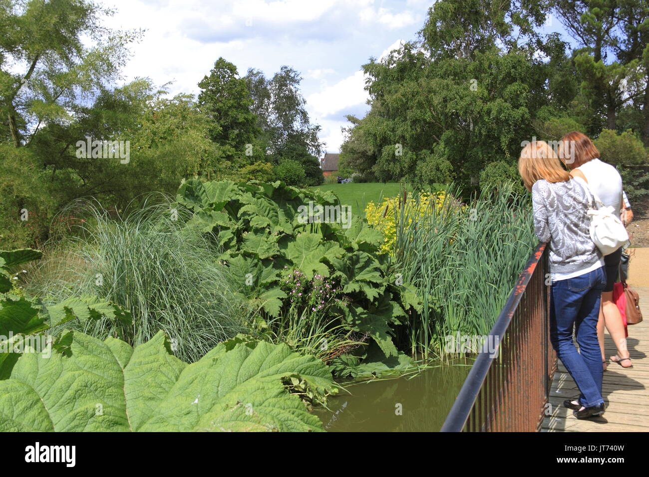 Hilltop Garden, RHS Garden Hyde Hall Flower Show 2017, Chelmsford, Essex, England, Great Britain, United Kingdom, UK, Europe Stock Photo