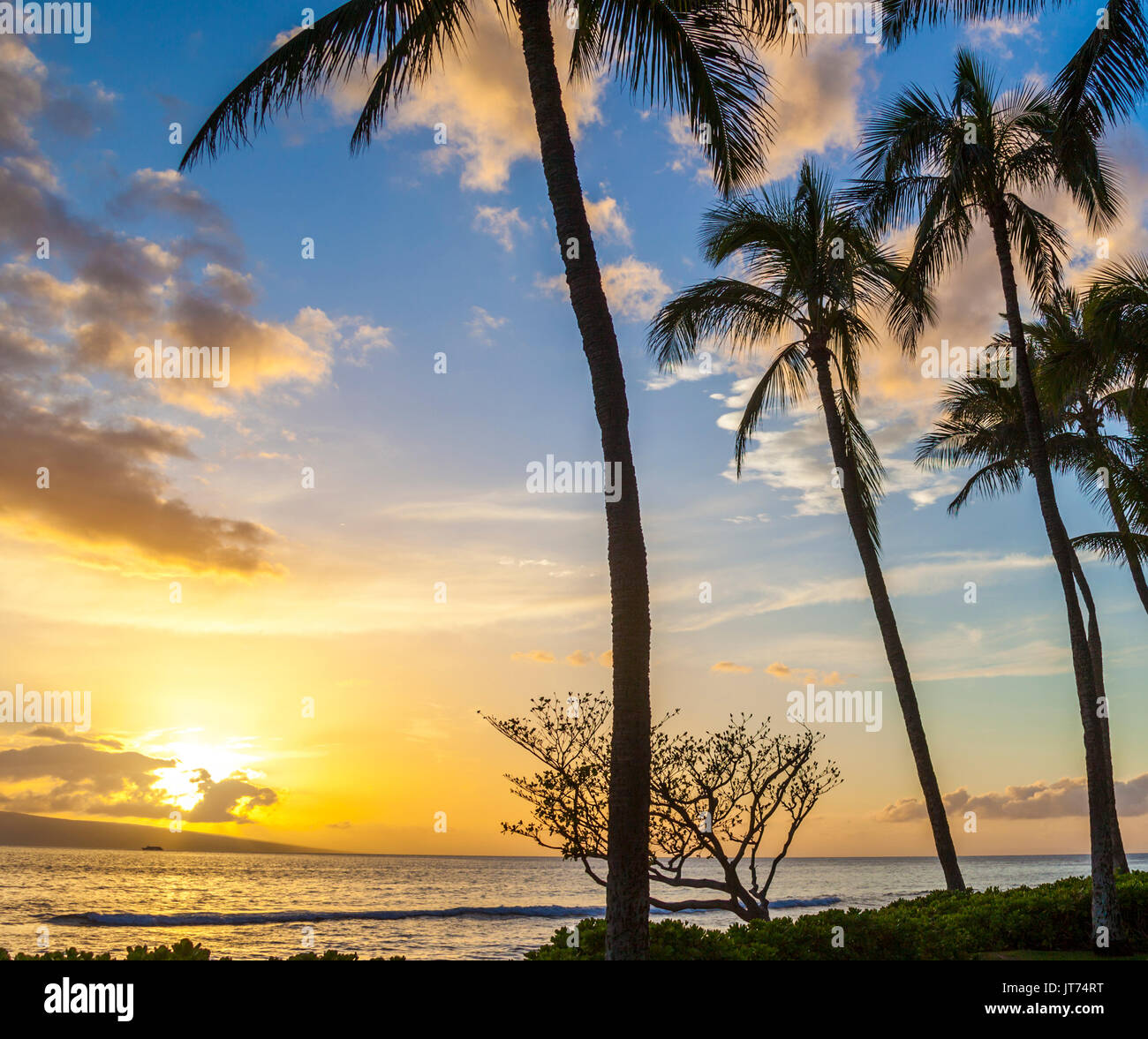 Golden light at sunset at Kaanapali, Maui Stock Photo