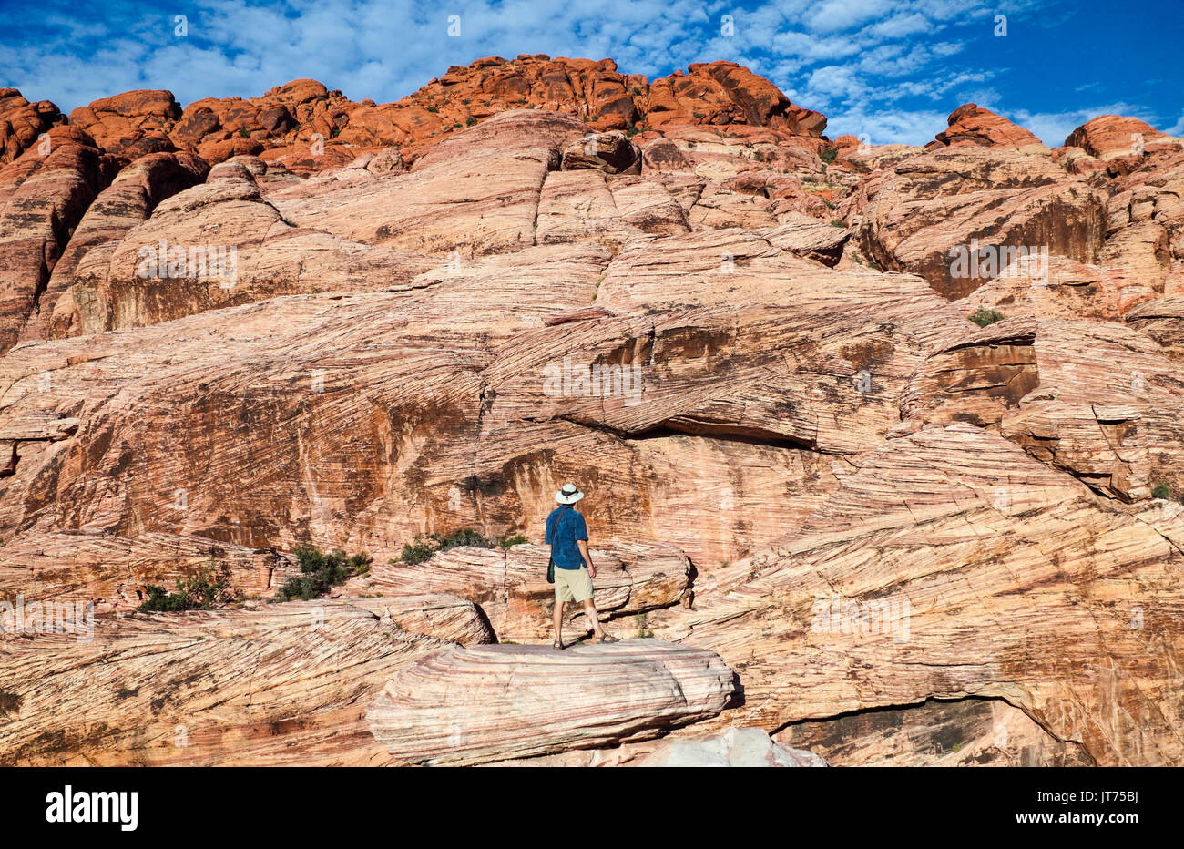 Visitor explores Red Rock Canyon National Conservation Area, about 20 miles from Las Vegas Stock Photo