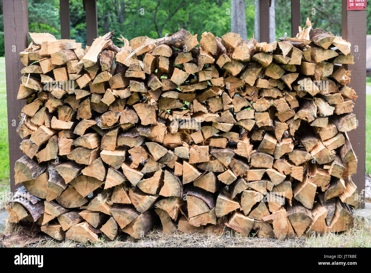 Indiana, Pennsylvania Fire wood stacked at Camp Seph Mack, a Boy