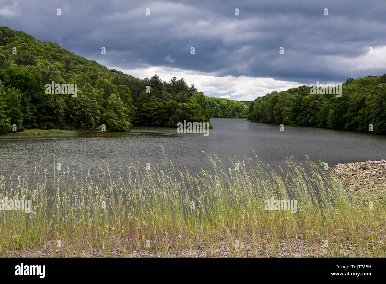 Yellow Creek State Park High Resolution Stock Photography and Images