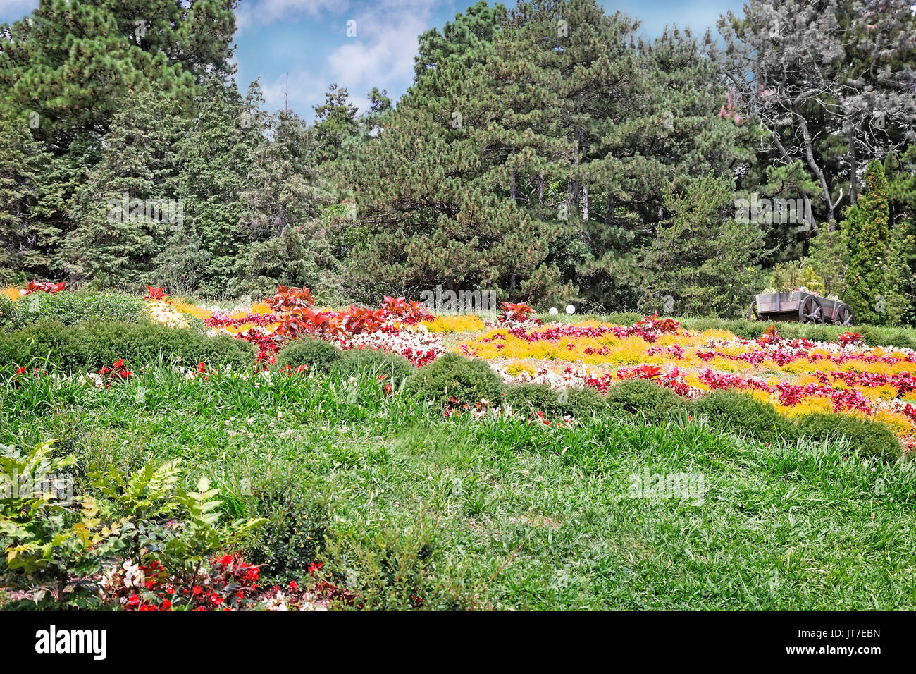 Lush meadow flowers hi-res stock photography and images - Alamy