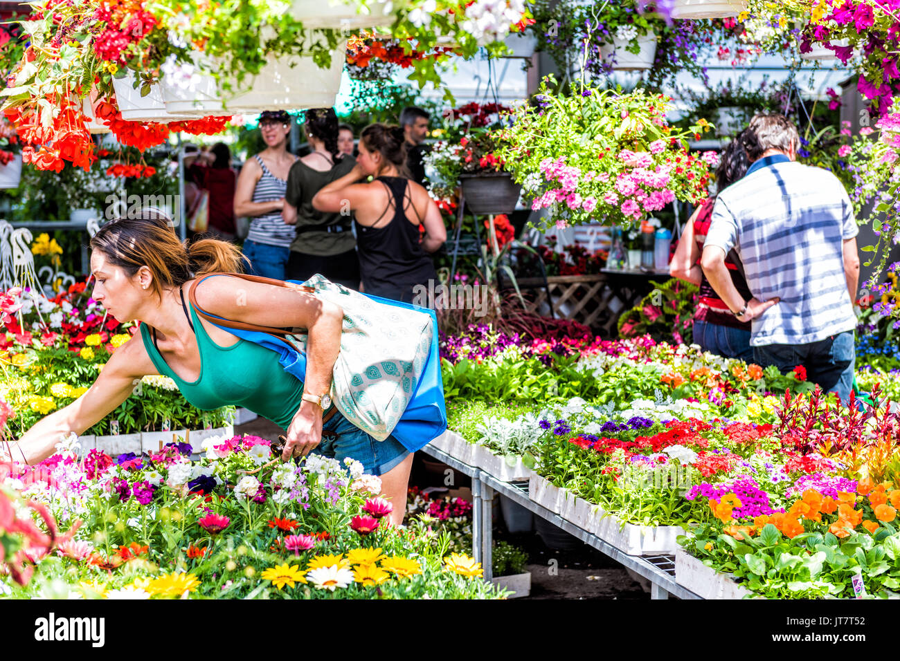 Gardening with local flowers hires stock photography and images Alamy