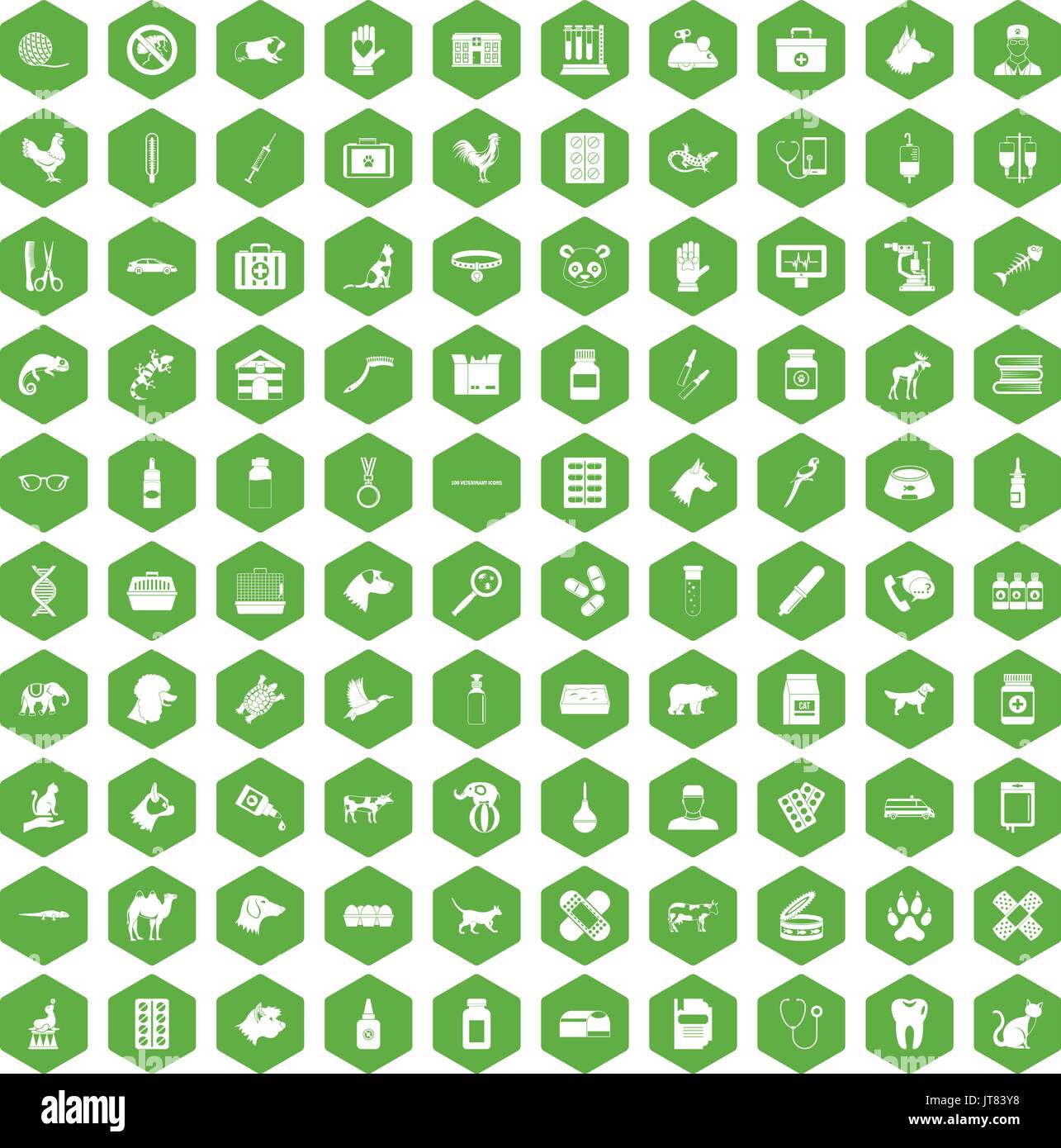 100 veterinary icons hexagon green Stock Vector