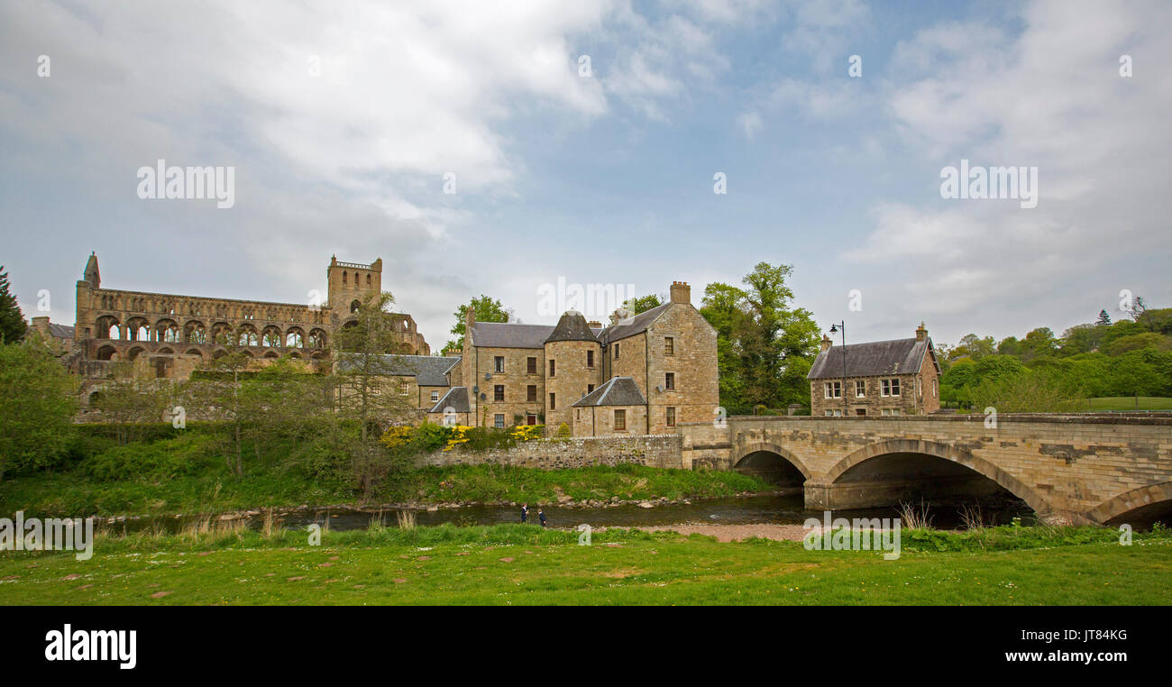 Panoramic view of imposing ruins of Jedburgh abbey and buildings of old town beyond Jed Water river and arched bridge, Scotland Stock Photo