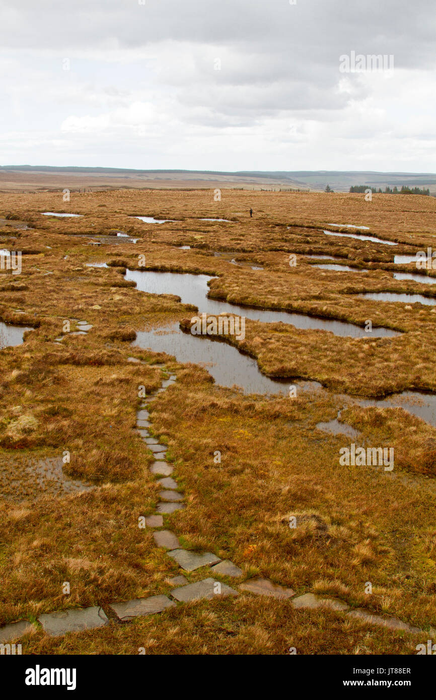 Scotland Peat Bog High Resolution Stock Photography and Images Alamy