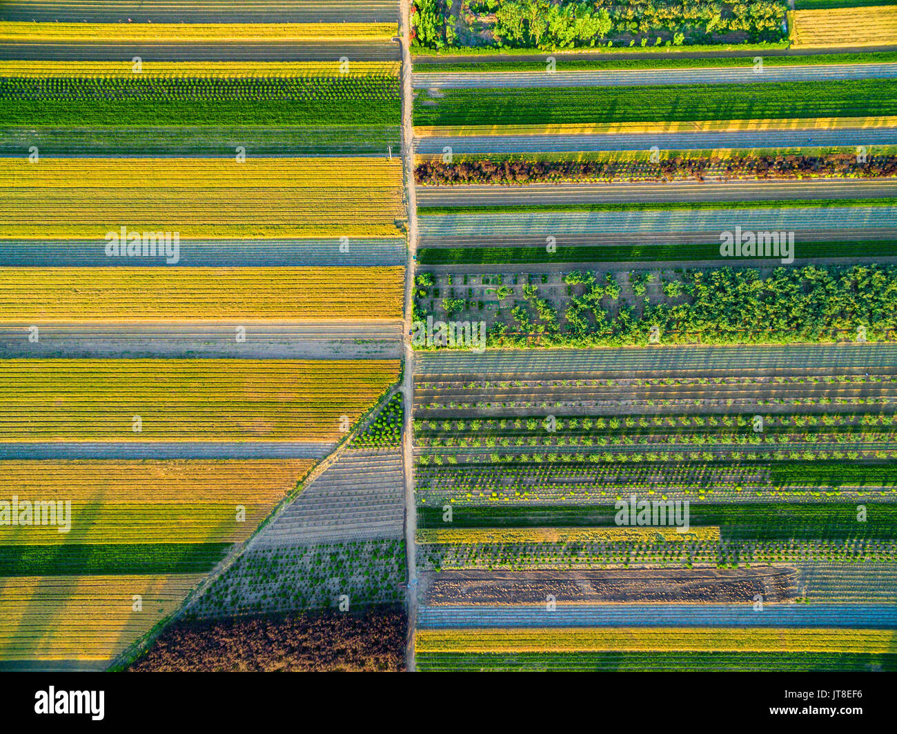 Zhaoyuan, China. 8th Aug, 2017. Zhaoyuan, CHINAAugust 7 2017