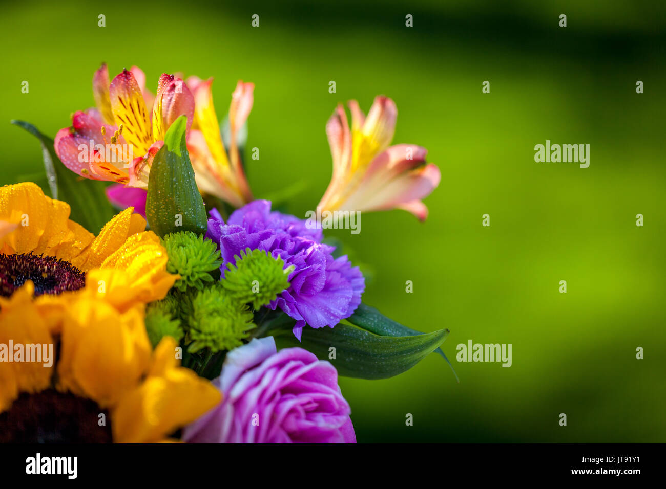 Bouquet of various fresh colorful flowers, green blurred background Stock Photo