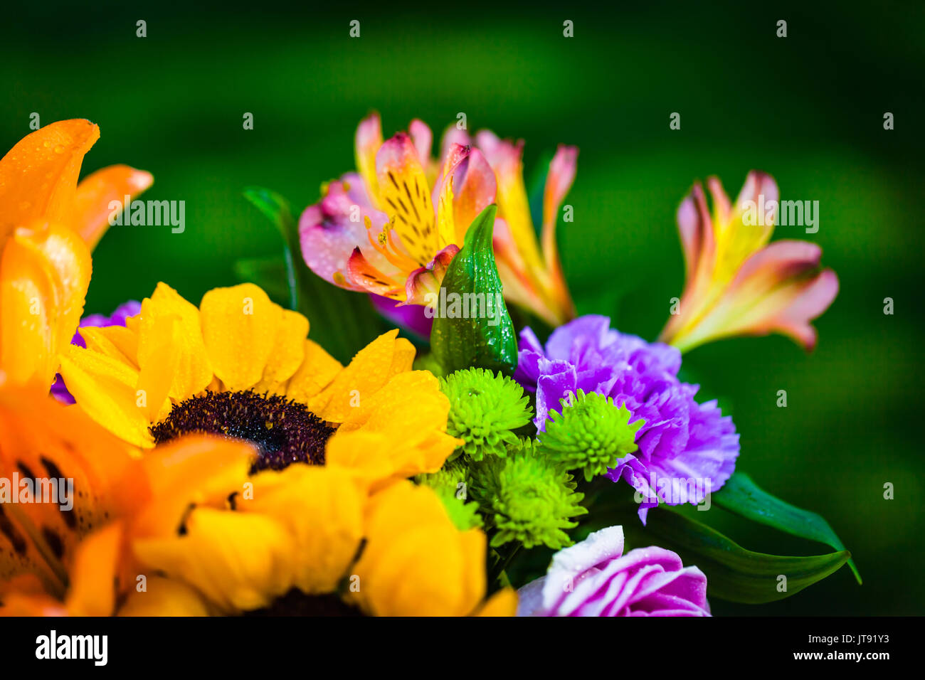 Bouquet of various fresh colorful flowers, green blurred background Stock Photo