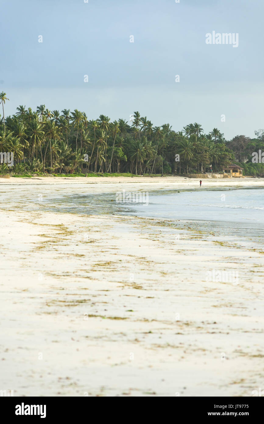 Tropical beach in early morning with palm trees and person walking on beach in background, Diani, Kenya Stock Photo