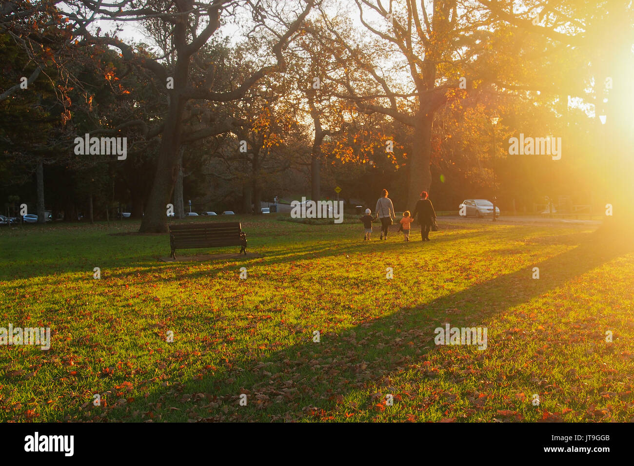 Happy family holding hands walking in the park Stock Photo - Alamy