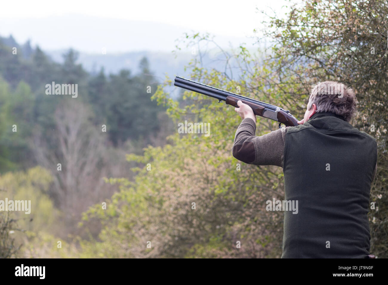 Hunter in forest during hunting season aiming before shoot Stock Photo