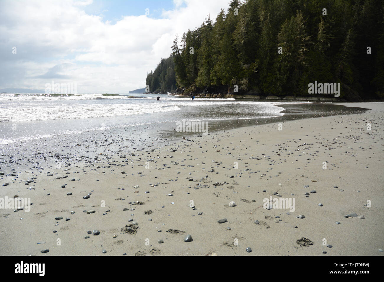 A pair of surfers on Pacheedaht Beach, on a native reserve of the same name, near Port Renfrew, Vancouver Island, British Columbia, Canada. Stock Photo