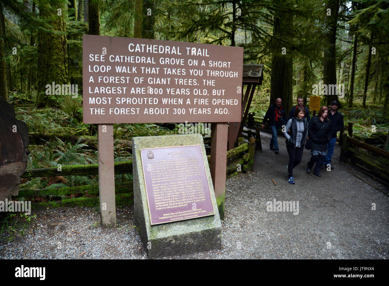 Visitors walking on a trail in protected old growth rainforest of Cathedral Grove, near Port Alberni, on Vancouver Island, British Columbia, Canada Stock Photo