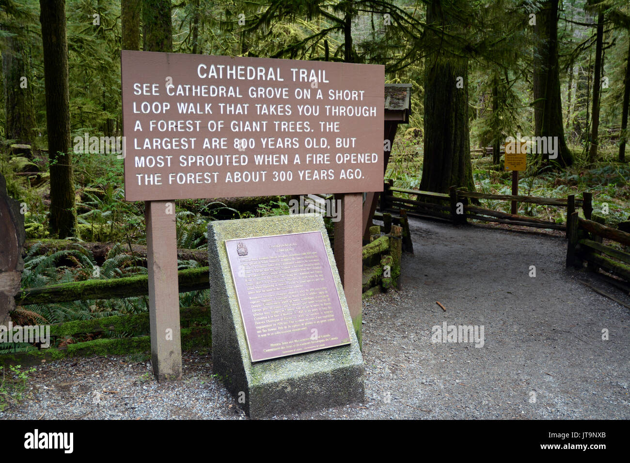 The start of the walking trail in protected old growth rainforest of Cathedral Grove, near Port Alberni, on Vancouver Island, British Columbia, Canada Stock Photo