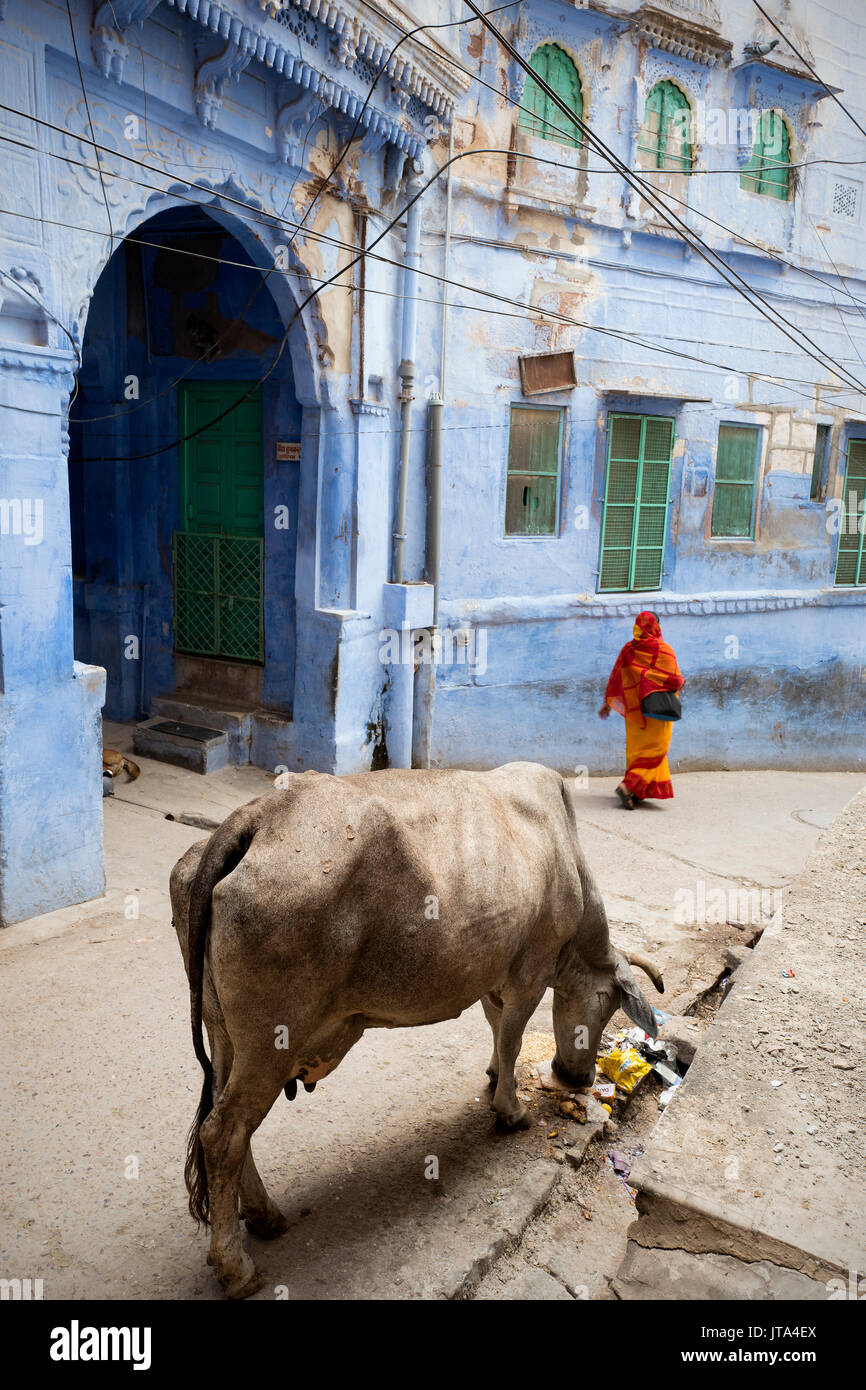 Street scene in Jodhpur, Rajasthan, India Stock Photo