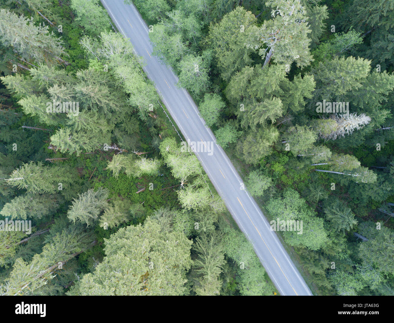 Aerial view of Baker Lake Road near Concrete, WA. Stock Photo