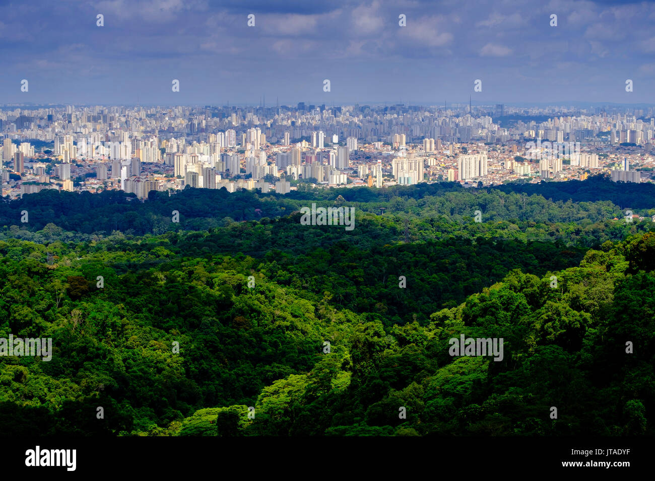 Central Sao Paulo from the rainforest of the Serra da Cantareira State Park, Brazil Stock Photo