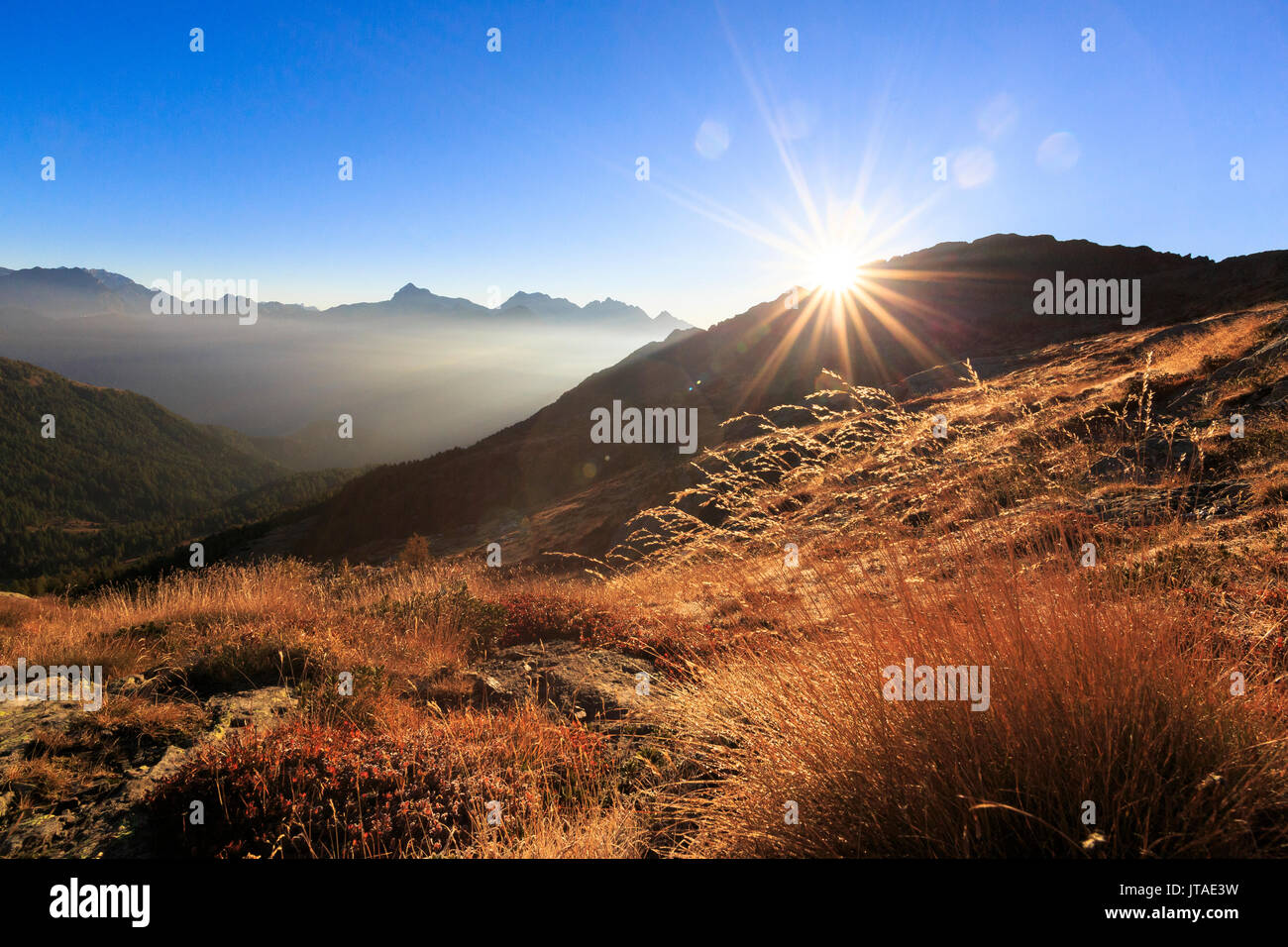 Sunbeams on alpine pastures with peak Scalino in the background, Val Torreggio, Malenco Valley, Valtellina, Lombardy, Italy Stock Photo