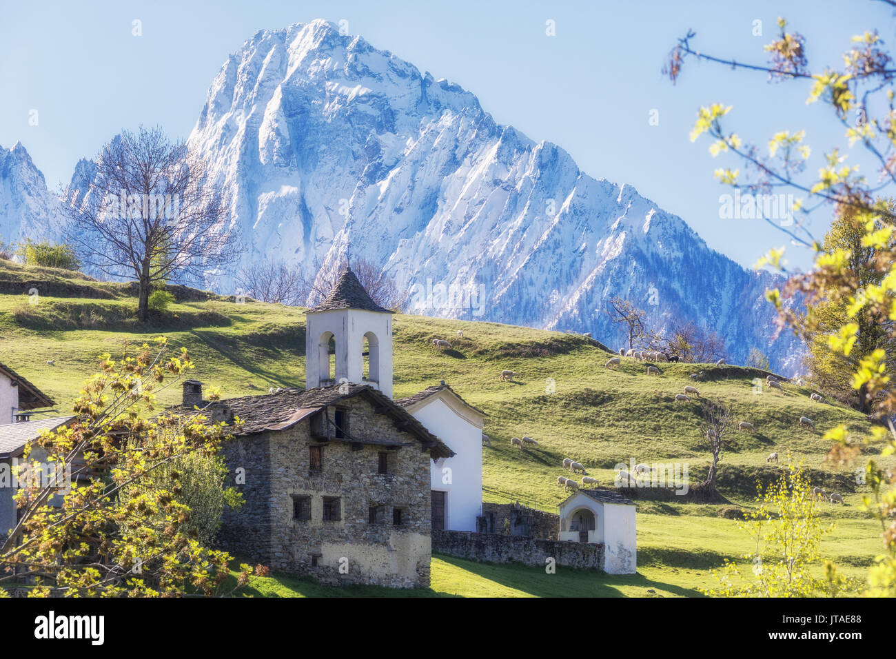 Alpine church framed by the snowy peak of Pizzo di Prata in spring, Daloo, Chiavenna Valley, Valtellina, Lombardy, Italy, Europe Stock Photo