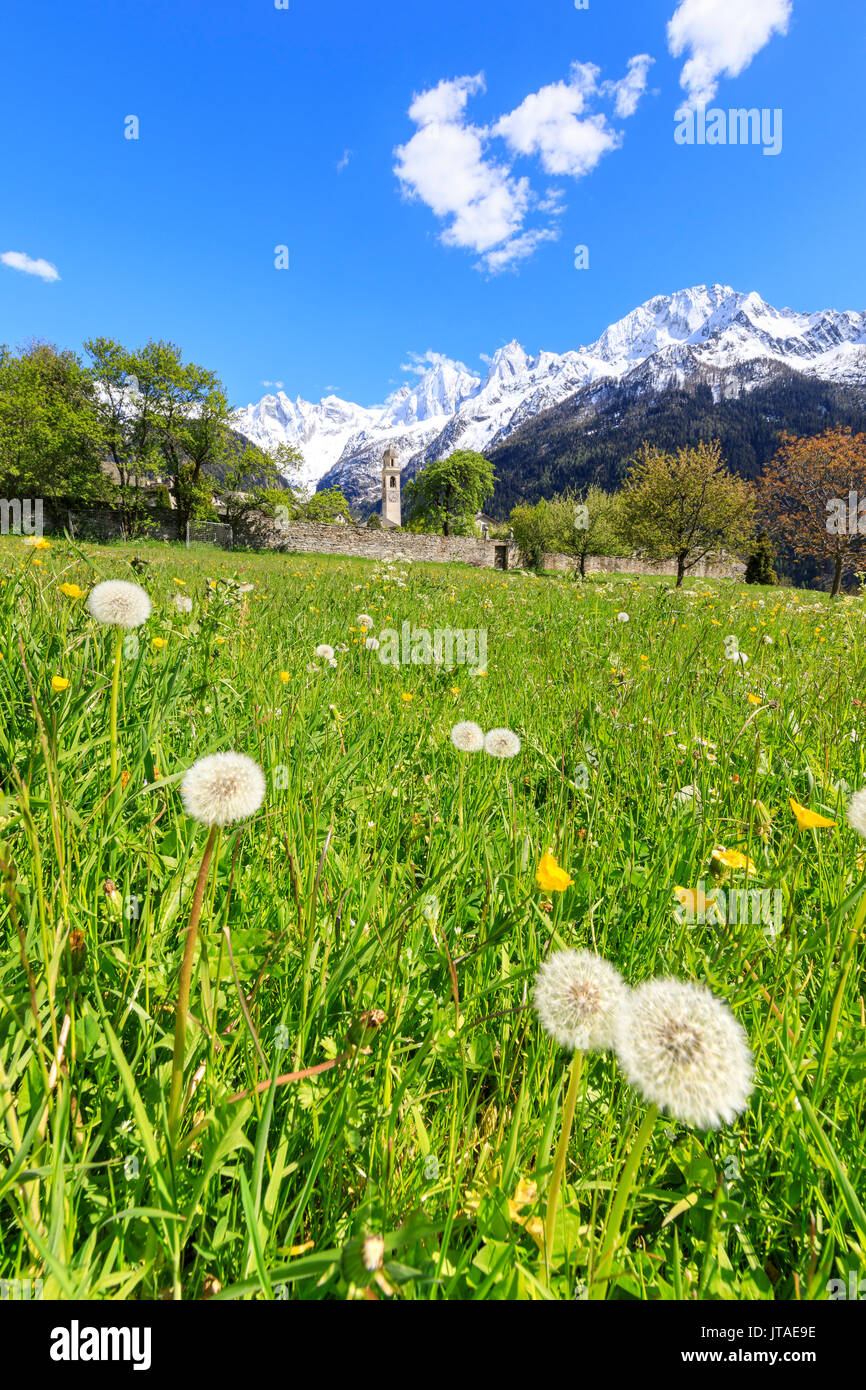 Green meadows frame the church of Soglio in spring, Maloja, Bregaglia Valley, Engadine, canton of Graubunden, Switzerland Stock Photo