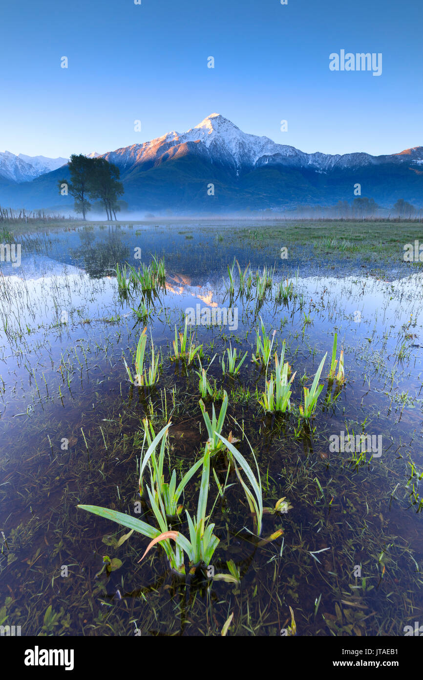 The snowy peak of Mount Legnone reflected in the flooded land at dawn, Pian di Spagna, Valtellina, Lombardy, Italy, Europe Stock Photo