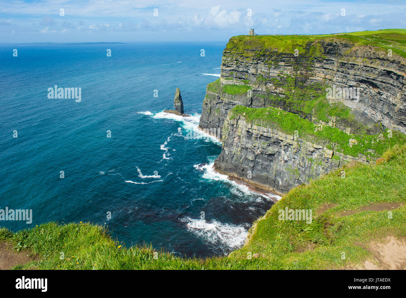 Cliffs of Moher, The Burren, County Clare, Munster, Republic of Ireland, Europe Stock Photo