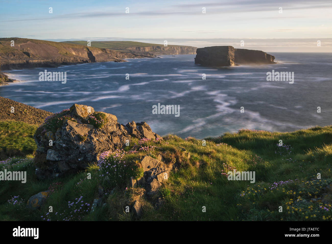 Castle Point, Loop Head, County Clare, Munster, Republic of Ireland, Europe Stock Photo