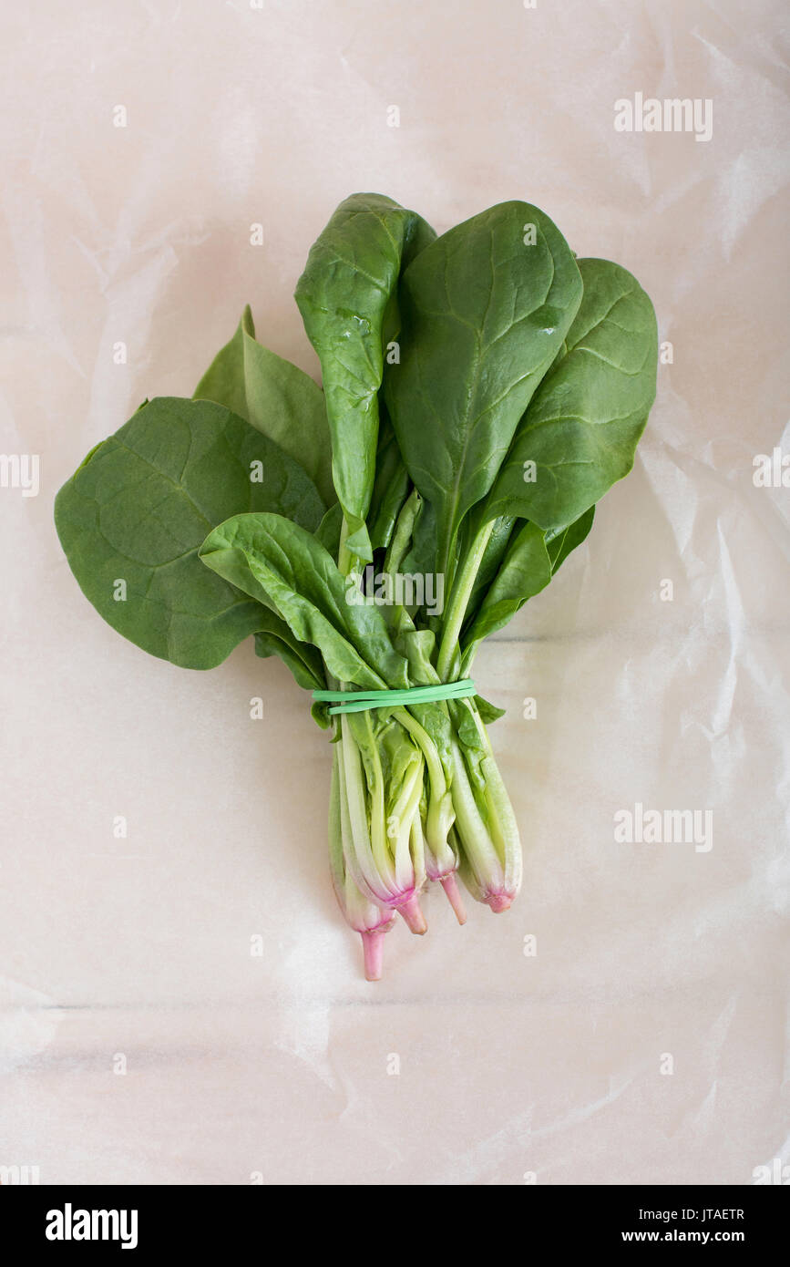 top view of bunch of fresh green spinach lying on cooking paper Stock Photo