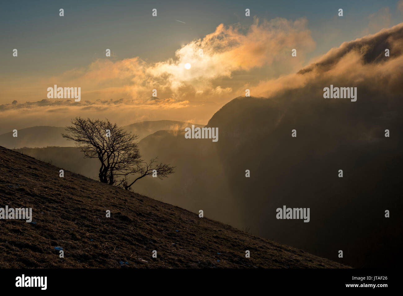 Sunrise on a lonely tree on mountain Motette, Apennines, Umbria, Italy, Europe Stock Photo