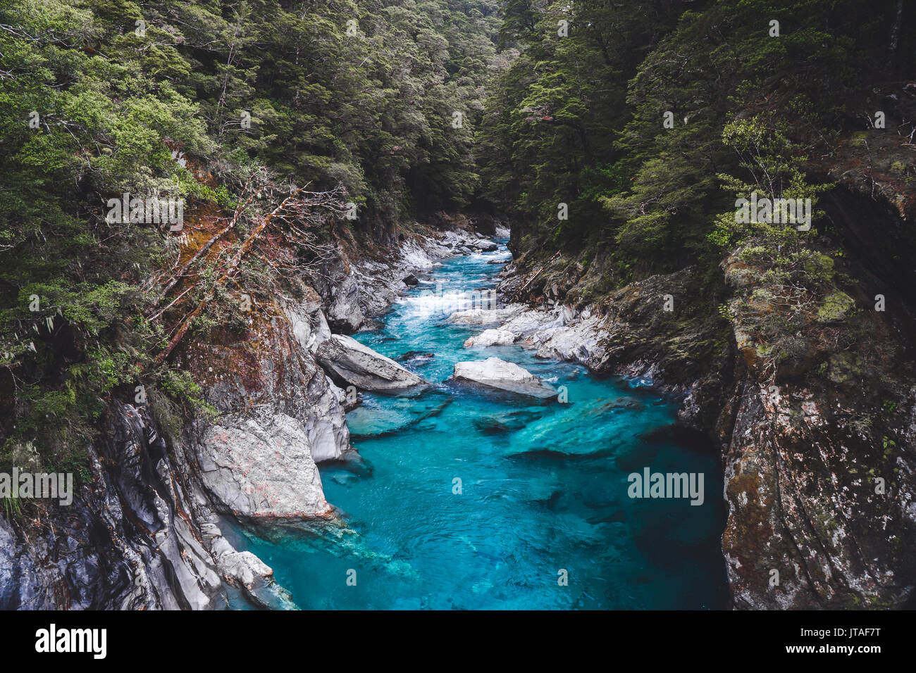 Blue Pools, Mount Aspiring National Park, Southern Alps, UNESCO World Heritage Site, South Island, New Zealand, Pacific Stock Photo