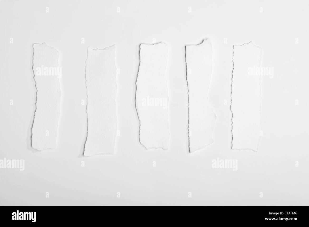 top view of torn empty white note papers isolated on white   Stock Photo