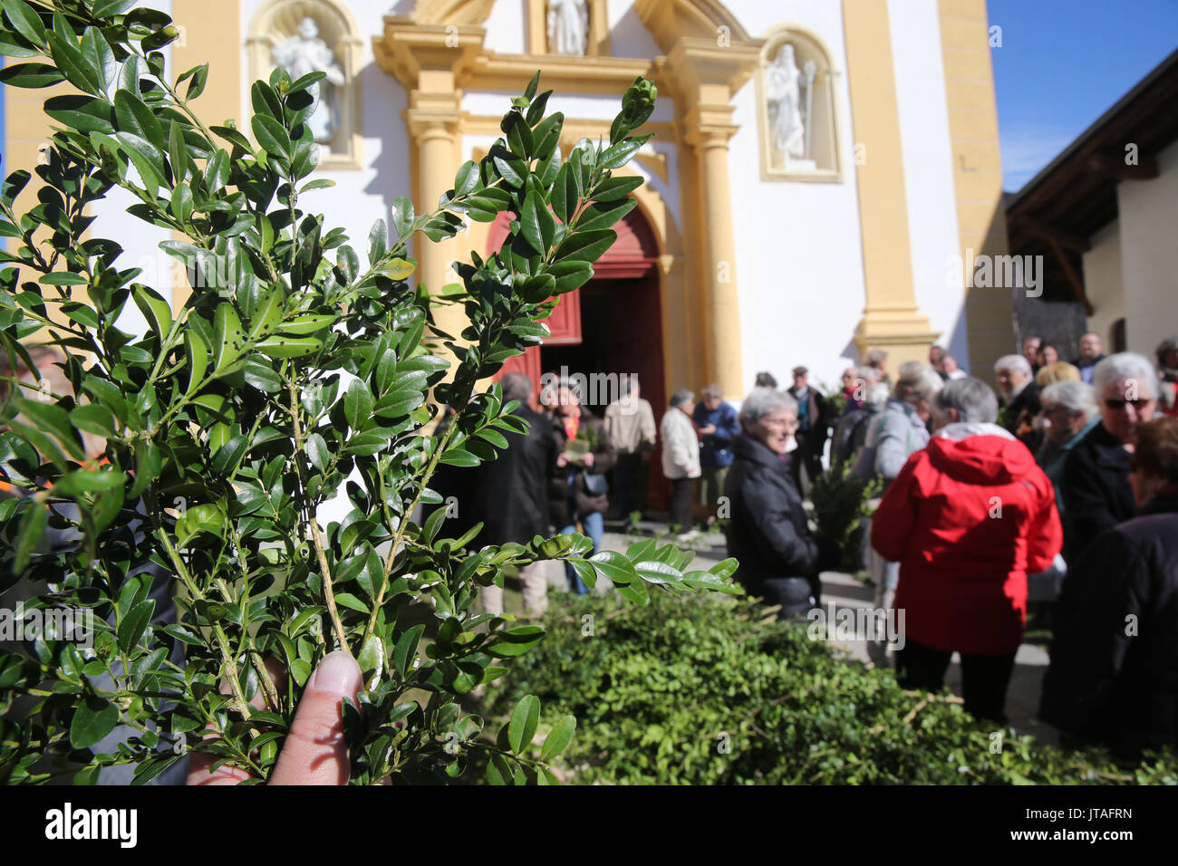 Palm Sunday Mass, Saint-Nicolas de Veroce church, Saint-Nicolas-de-Veroce, Haute-Savoie, France, Europe Stock Photo