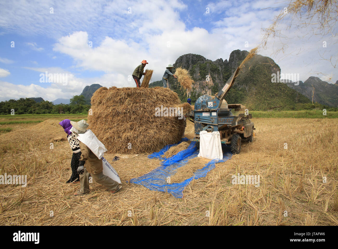 Rice field, Lao farmers harvesting rice in rural landscape, Laos, Indochina, Southeast Asia, Asia Stock Photo