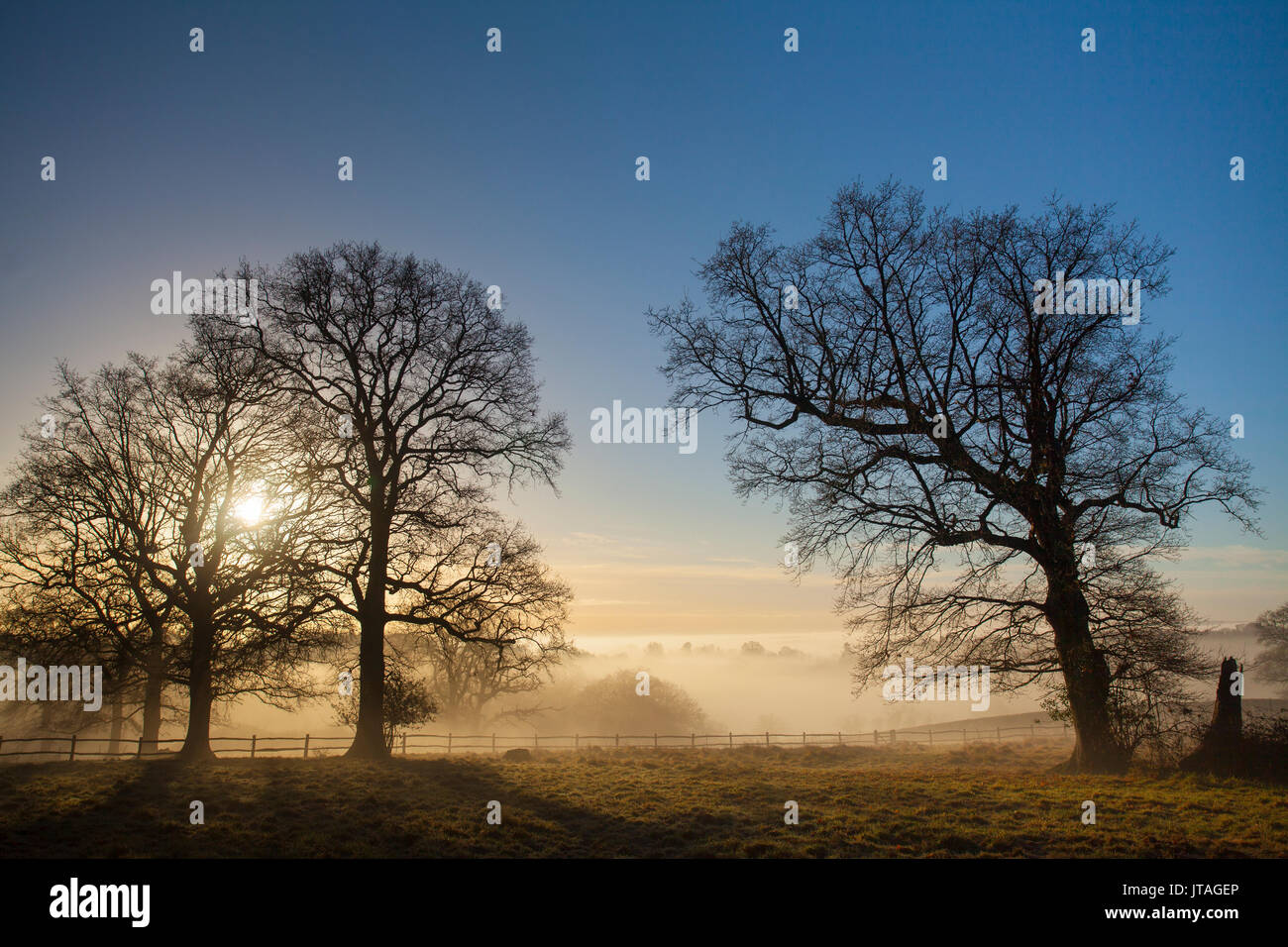 Winter scene sussex hi-res stock photography and images - Alamy