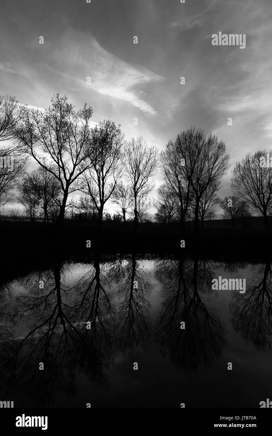 Some trees silhouettes reflecting on water, with sunset in the background Stock Photo