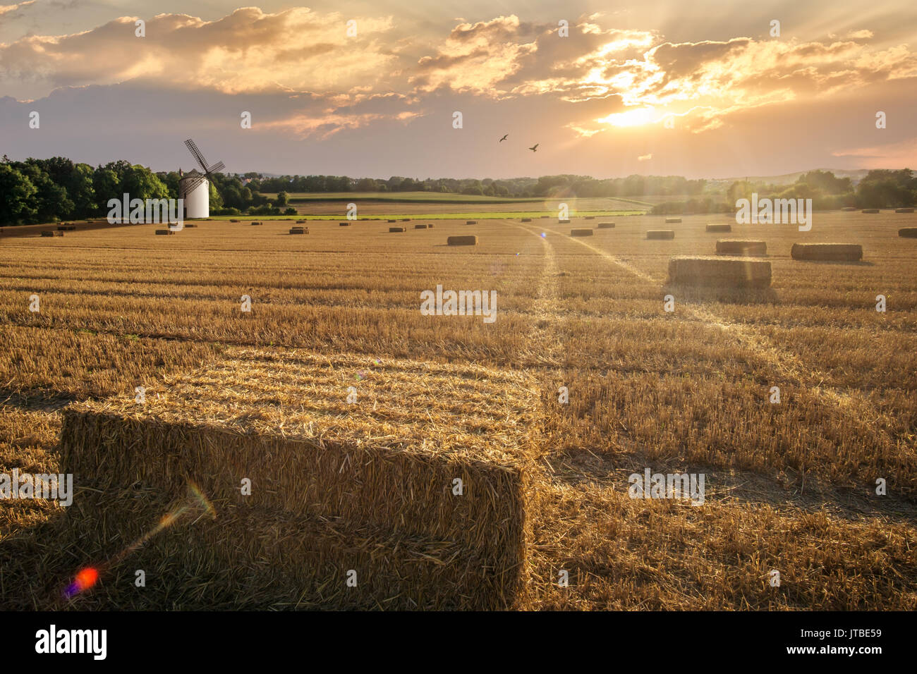 Sunset over a a wheat field in the harvest time with a windmill. Bavaria, Germany. Stock Photo