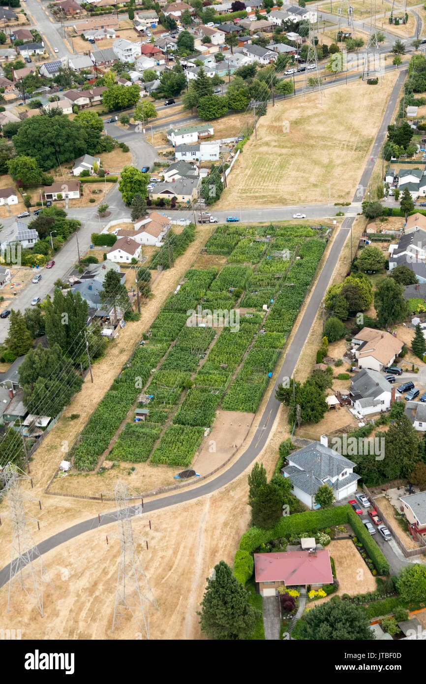 aerial view of Maa Nyei Lai Ndeic P-Patch Community Garden, 4913 Columbia Dr S, Seattle, WA, USA Stock Photo