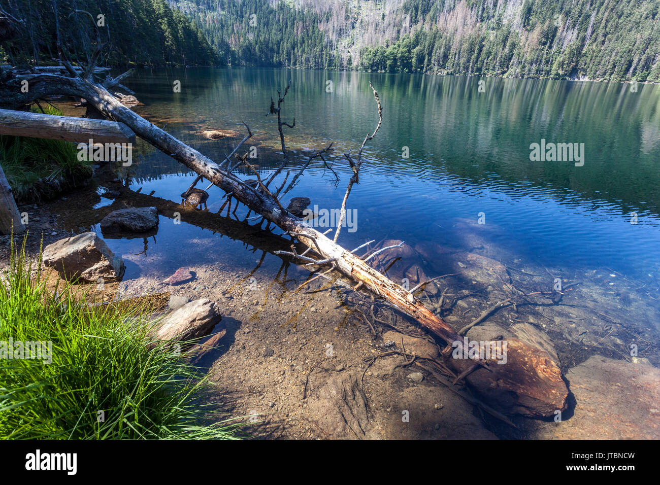 Glacial Black Lake, Cerne jezero in the Sumava Mountains, National Park,  Czech Republic Stock Photo - Alamy