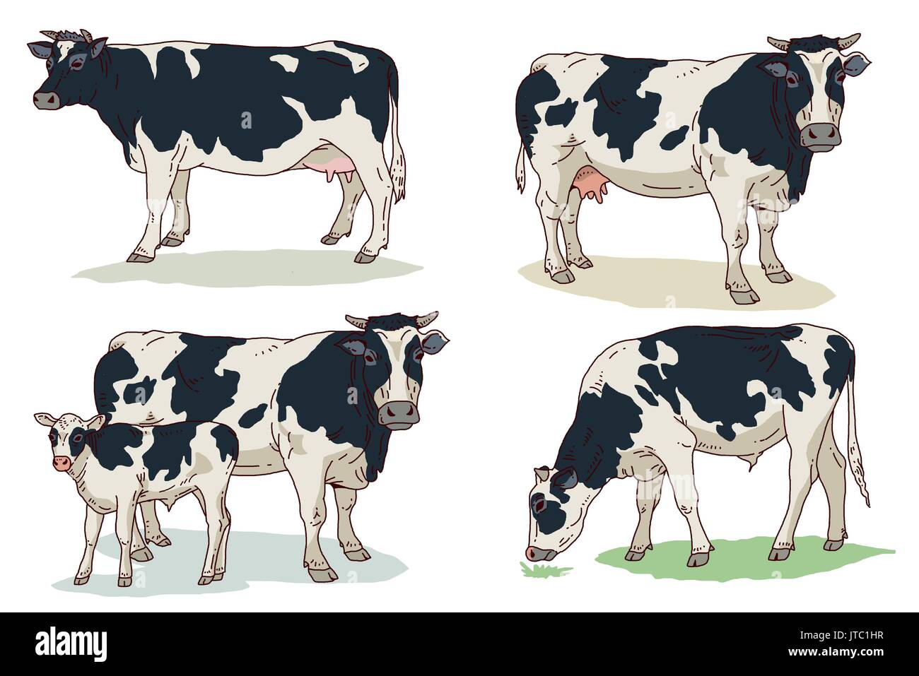 Корова сбоку рисунок