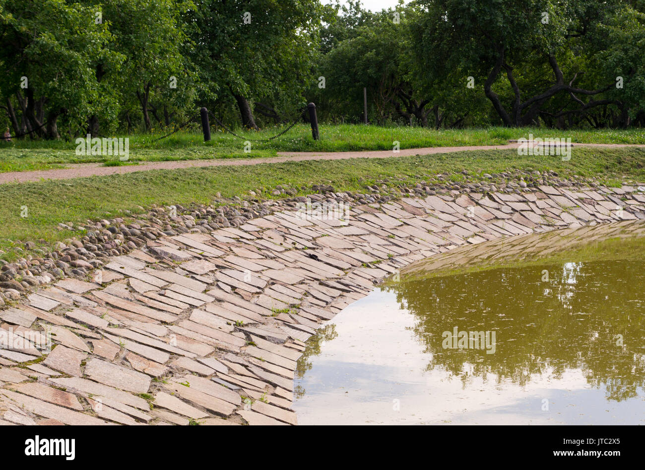 Nature scene tree pond hi-res stock photography and images - Alamy