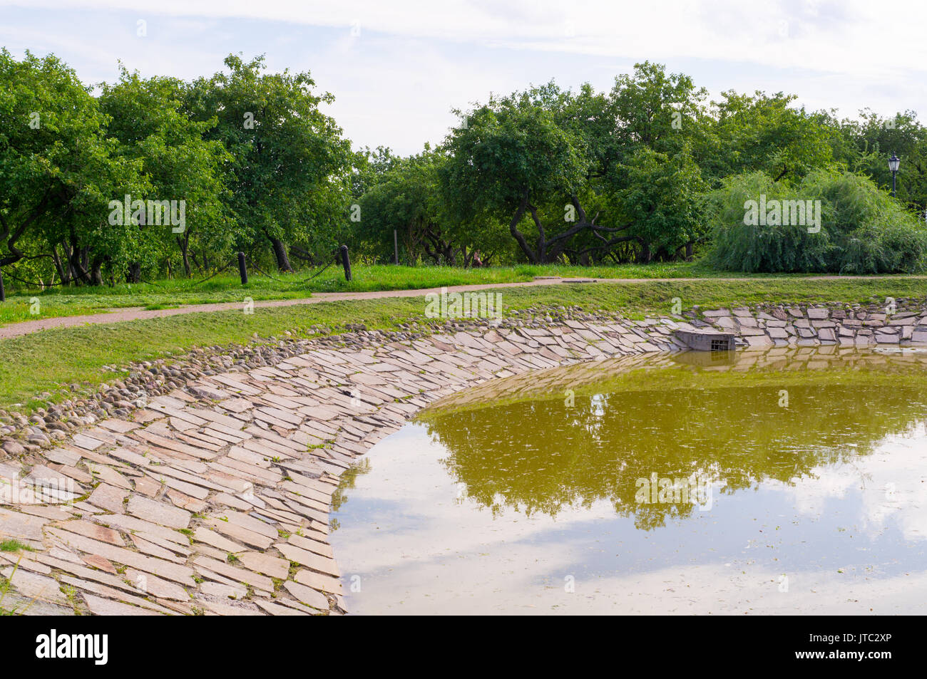 Nature scene tree pond hi-res stock photography and images - Alamy