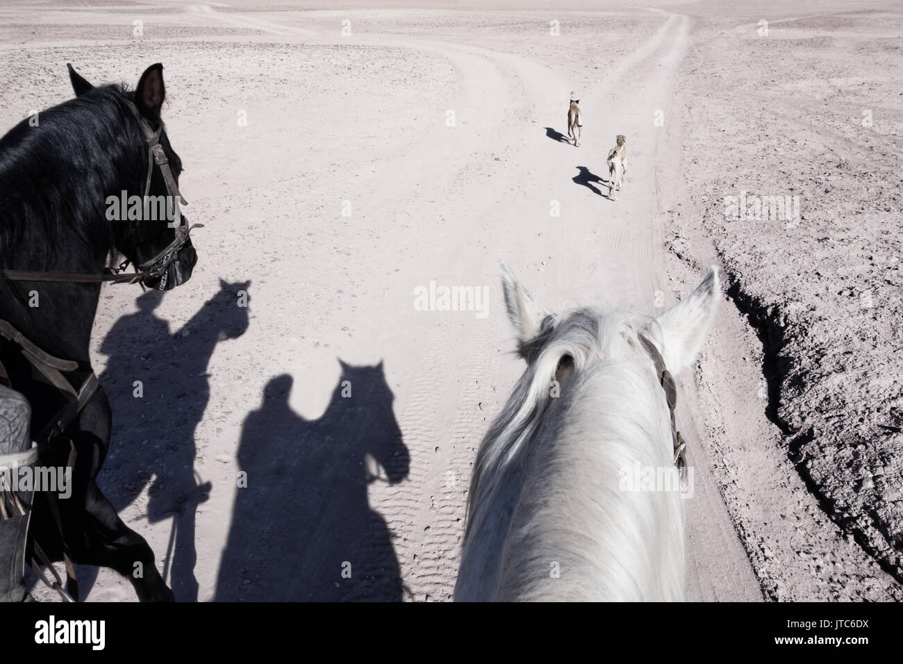 Horse riders (shadows) with dogs on stony desert plateau with diverging roads. Stock Photo