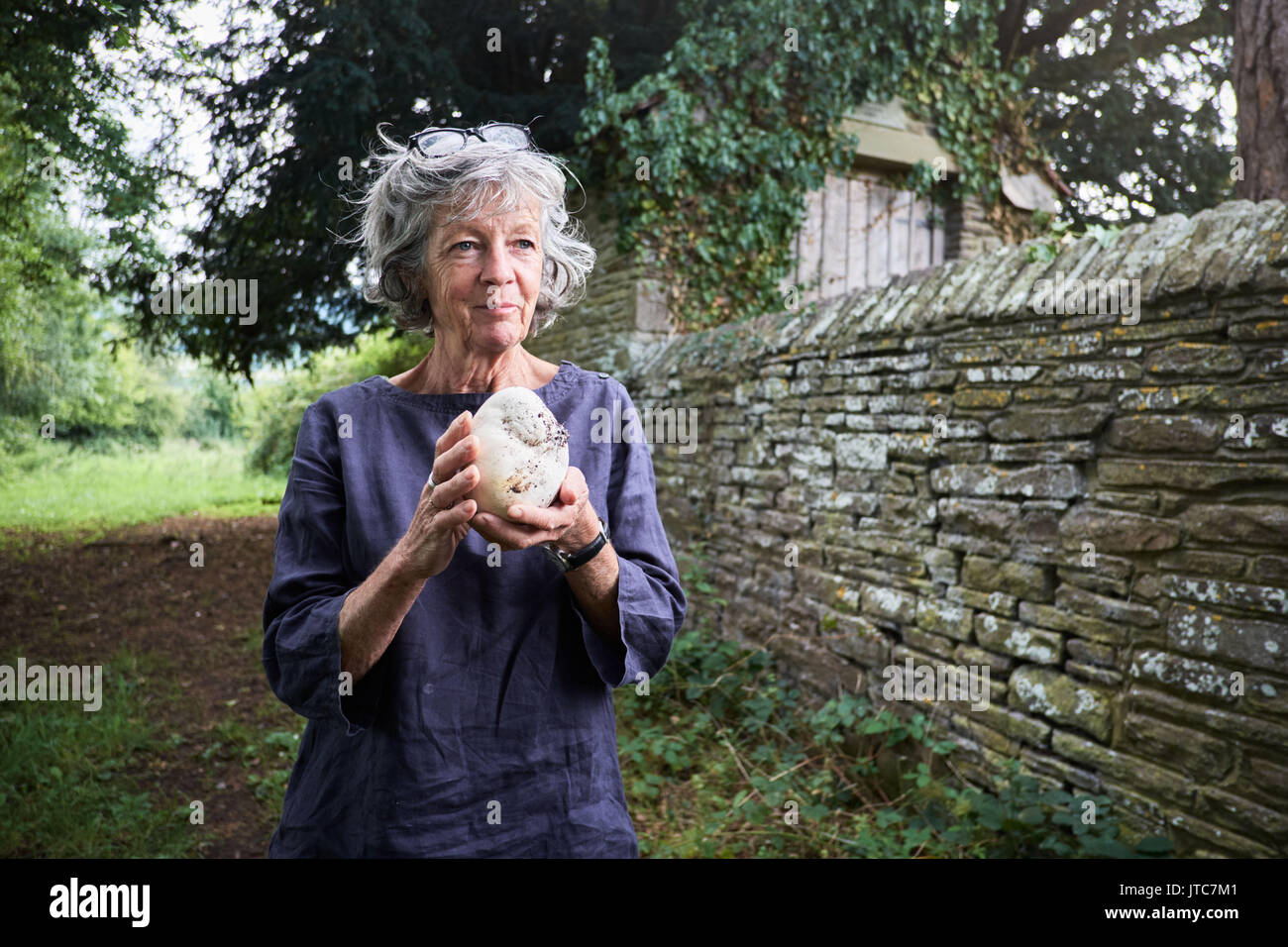 Giant puffball Stock Photo
