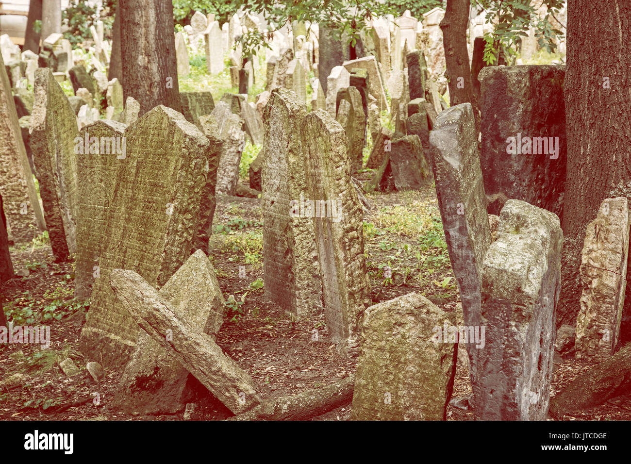 Jewish cemetery in Prague, Czech republic. Memorial place. Many graves. Historical object. Yellow photo filter. Stock Photo