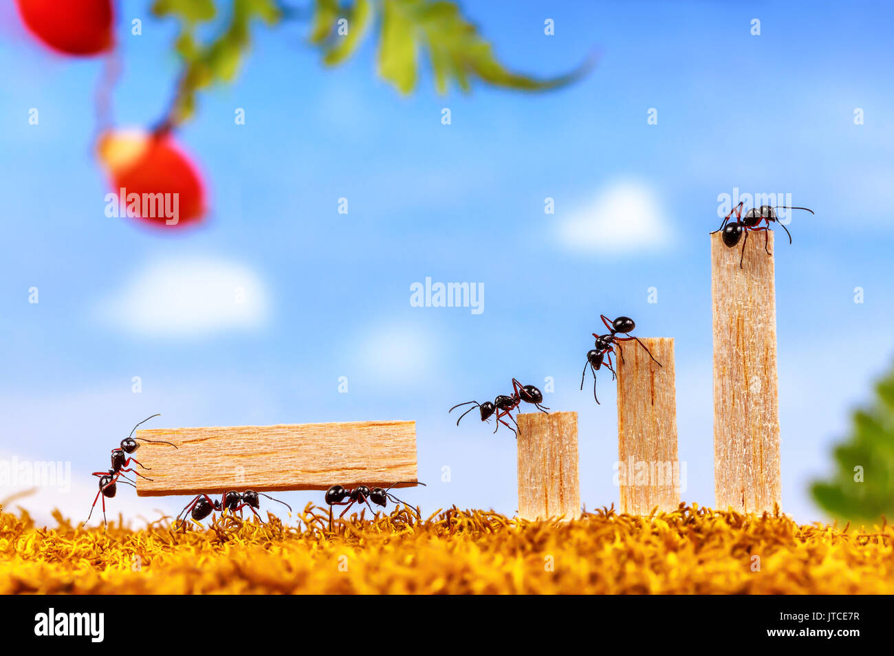 Ants carrying wood for business graph, teamwork concept Stock Photo