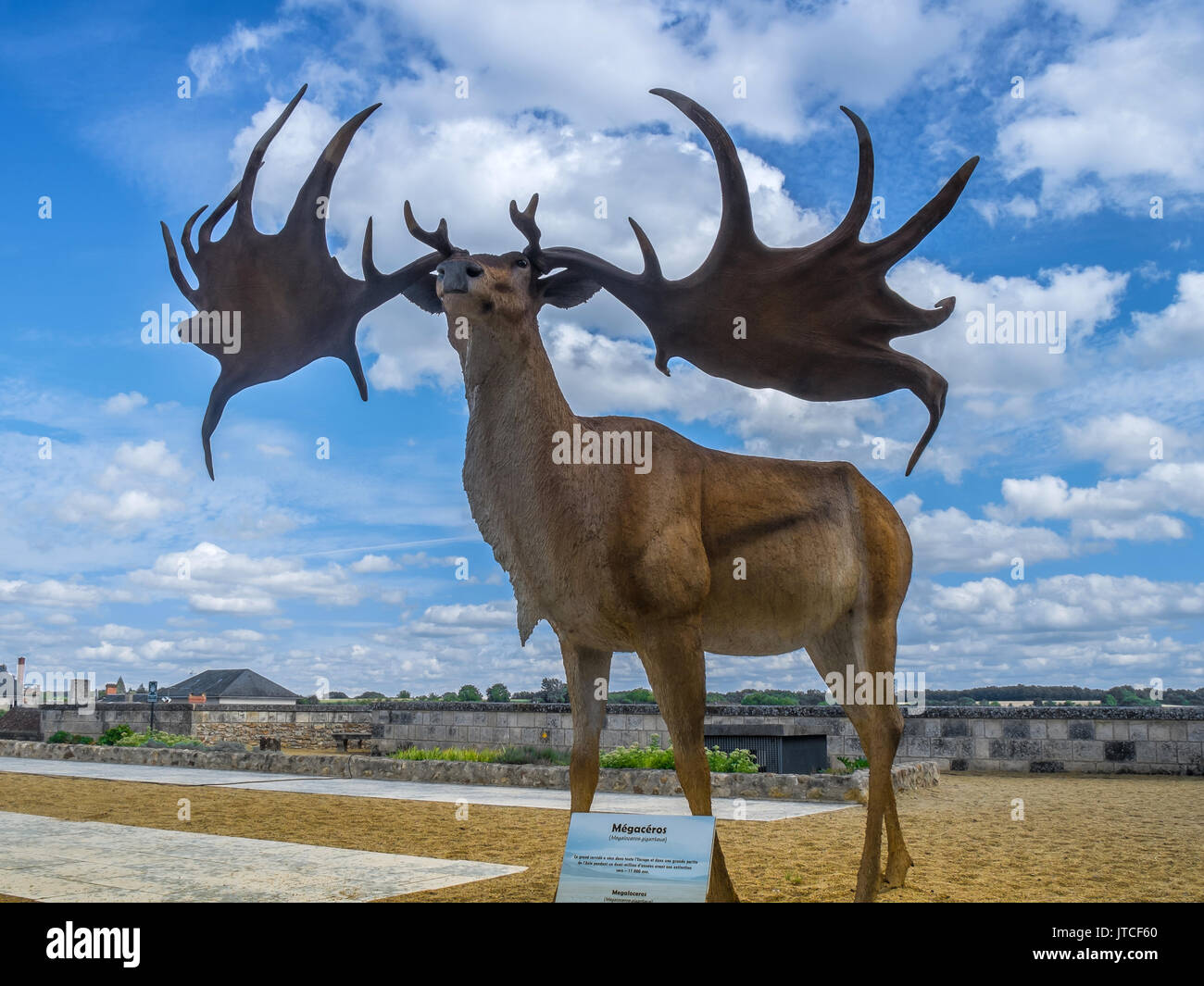 Prehistoric deer hi res stock photography and images Alamy